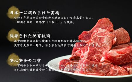 T-4【6ヶ月定期便】 高千穂牛すね肉 800g(400g×2パック)×6回