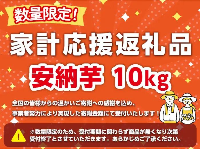安納芋 さつまいも 10kg 生活 家計 応援 【種子島安納株式会社】n080-n