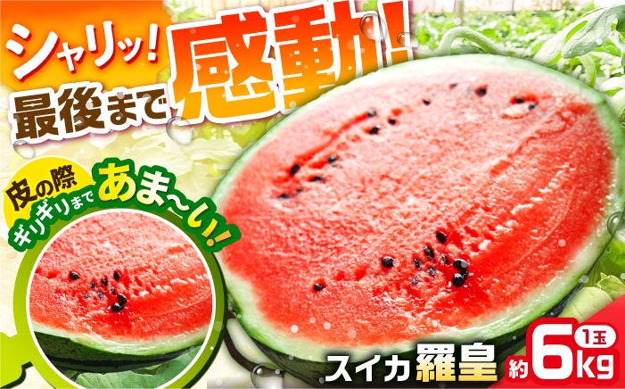 
                  【甘～い 大玉】 シャリっと感がたまらない！　スイカ 羅皇(ラオウ)1玉 / すいか [42AMAG024]　すいか スイカ　suika らおう ラオウ 夏　フルーツ 果物 くだもの 長崎 南島原 産地直送
                