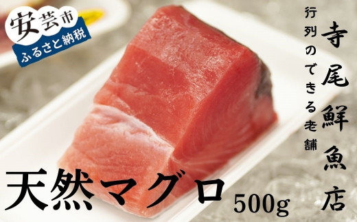 22-(11) 天然まぐろ 赤身 500g 冷凍 キハダマグロ