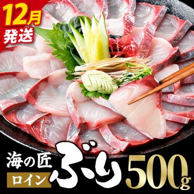 ふるさと納税 佐伯市 <先行予約受付中!2026年12月以降順次発送予定>海の匠 ブリ スキンレスロイン (500g)