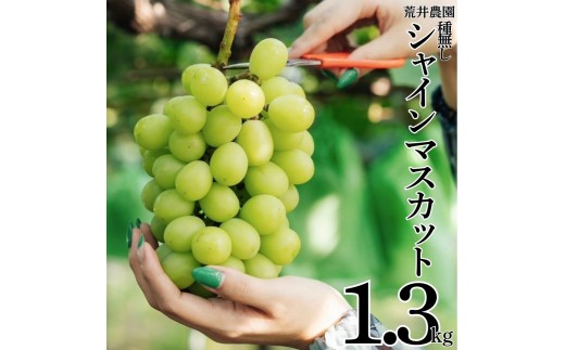 34M.■荒井農園■種無しシャインマスカット1.3kg