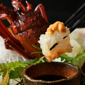 活き 特大 伊勢海老 2尾入り 約1kg 天然 伊勢エビ 【伊勢志摩】