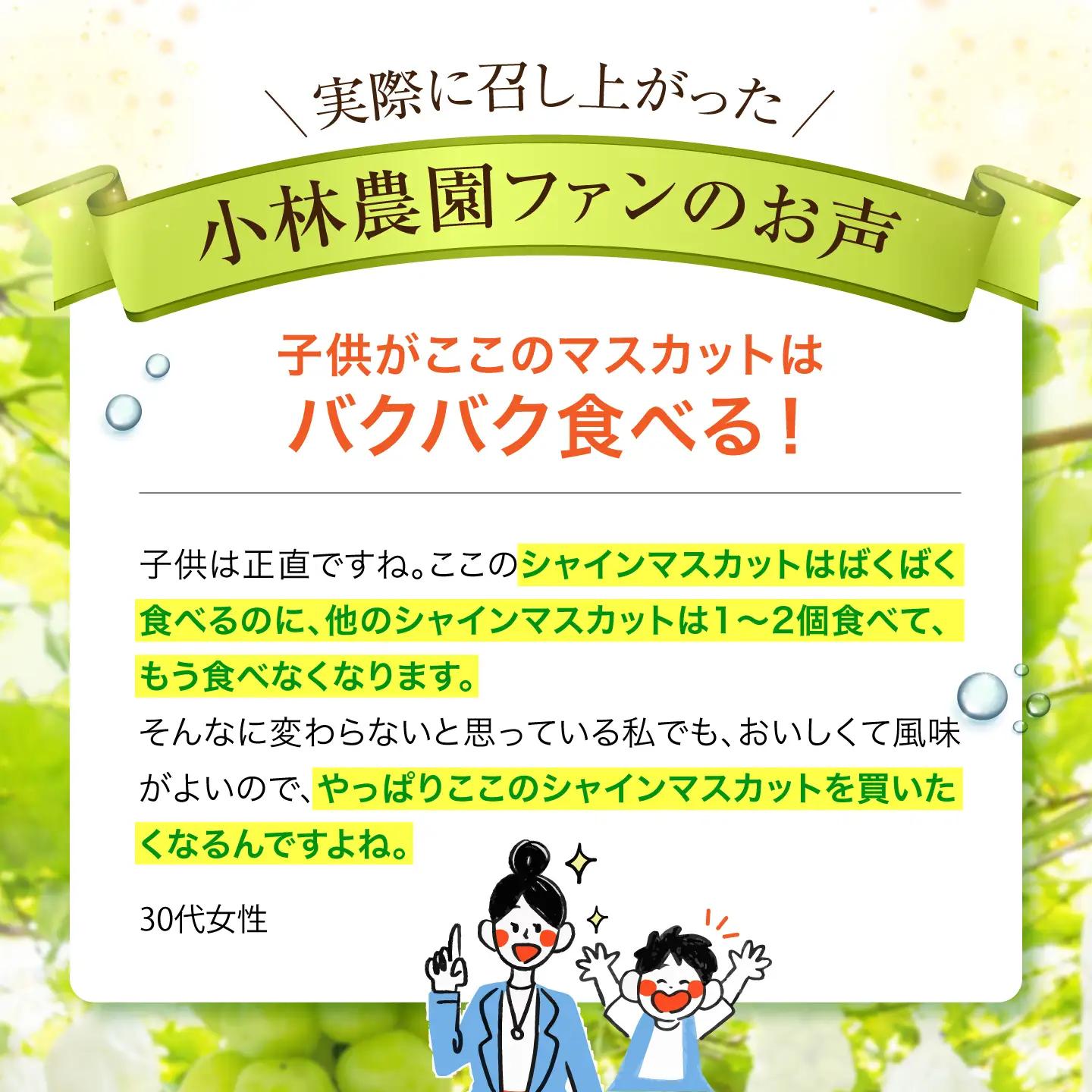【先行予約】 シャインマスカット　900g以上 【小林農園】 / ブドウ ぶどう 果物 種なし[HAX004]