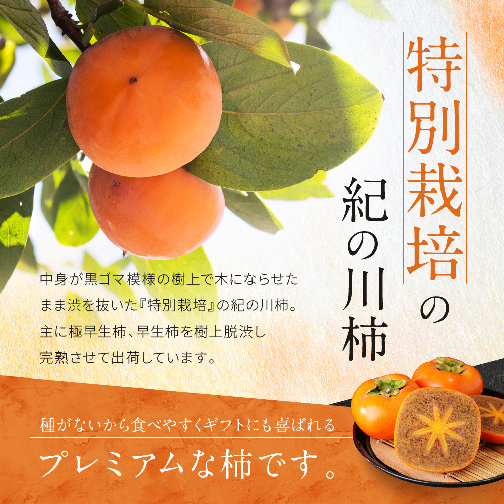 ［2026年発送分］先行予約！ 紀の川柿（果実の中身が黒い！黒蜜柿）希少栽培！ 秀品 6個～9個 こだわり農家厳選！［KG34］ XM90034_イメージ3