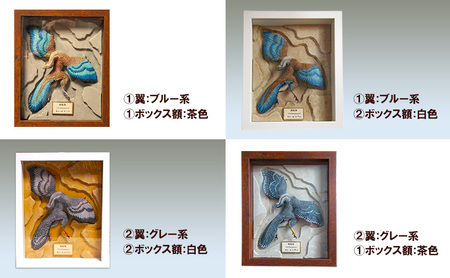 額装 始祖鳥 復元模型　荒木恐竜工房　恐竜　模型 2 翼：グレー系 ボックス額：茶色