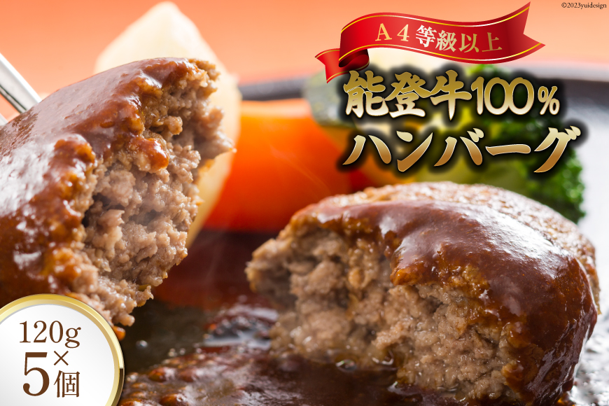 てらおか風舎の特選能登牛100%ハンバーグ 120g×5個 [てらおか風舎 石川県 志賀町 AA4199] 肉 能登牛 ハンバーグ 5個 デミグラスソース付き 化粧箱入り