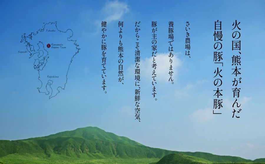 【定期便6回】グランプリ受賞 火の本豚！切り落し2.2kg | 熊本県 熊本 くまもと 和水町 なごみ 豚肉 火の本豚 地域ブランド 切り落とし 550g 4パック 小分け 2200g 定期便 定期 