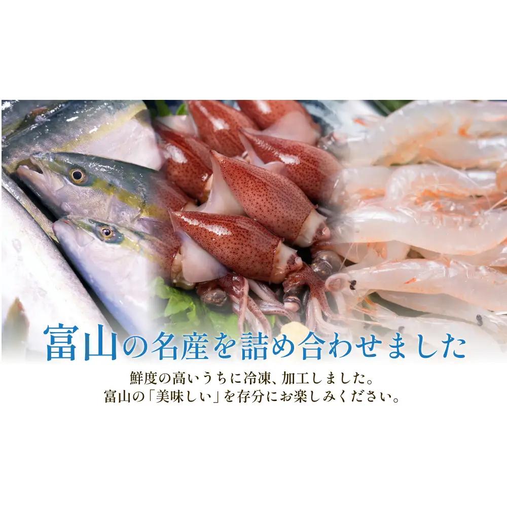 富山湾三大名物・極 鰤 ホタルイカ 白えび つめ合わせ ブリ ほたるいか 富山県 氷見市　ホタルイカ