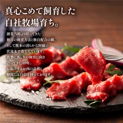 ふるさと納税 産山村 フジチクふじ馬刺し上赤身4個セット 合計約320g(産山村) |  | 02