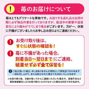【先行予約】古都華 大粒 1パック×3セット【2027年1月～順次発送】