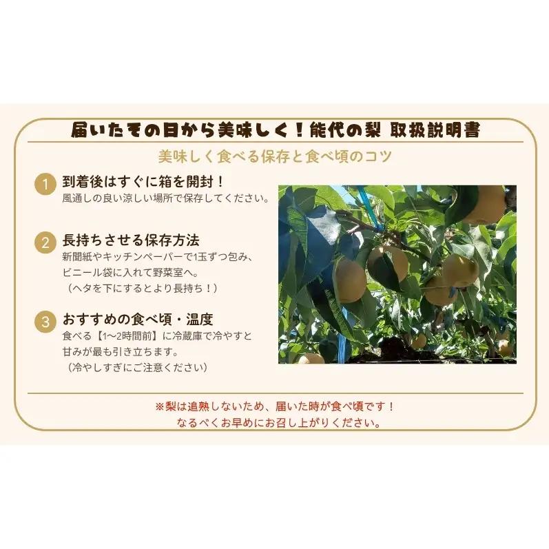梨 豊水 果物 秋田県産 贈答用 梨【5kg 12〜14個入】
