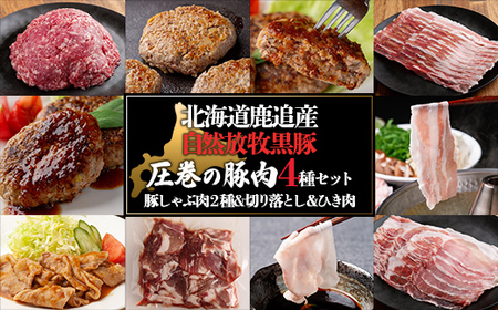 十勝鹿追町産　自然放牧黒豚　圧巻の豚肉　しゃぶしゃぶ肉と切り落とし＆ひき肉のセット （2100ｇ）定期便12回　SKN016 【 北海道  送料無料 】 
