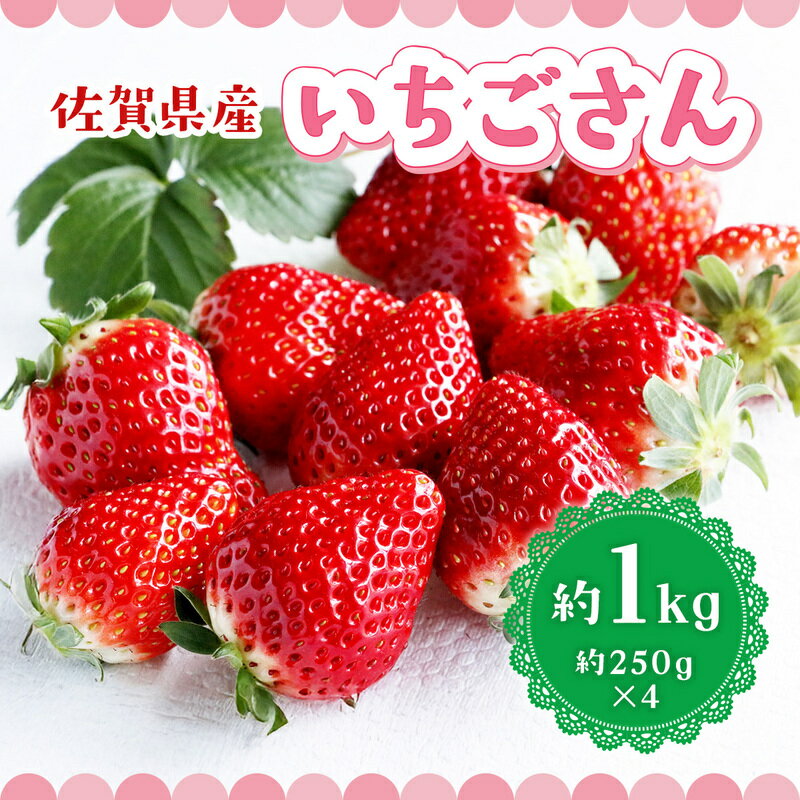 【ふるさと納税】いちご 佐賀県産 いちごさん 約1kg 苺 イチゴ フルーツ 果物 デザート ※配送不可:離島　お届け：2027年1月中旬～2月下旬まで