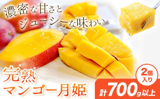 完熟 マンゴー月姫 計700g以上(2個入り) 株式会社日野洋蘭園《6月中旬-7月下旬頃出荷》鹿児島県 さつま町 マンゴー 果物 フルーツ 送料無料