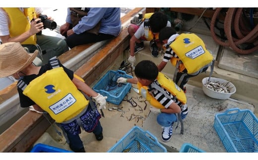 
宝の海「有明海」の保全・再生プロジェクト
