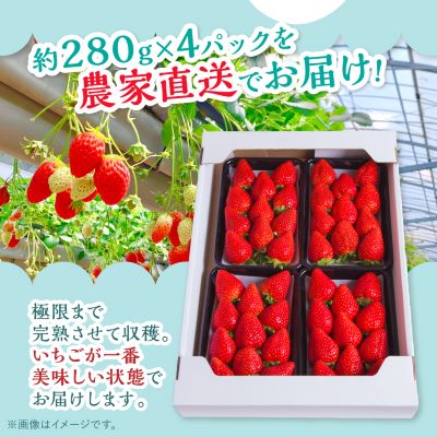 【2025年4月発送開始】岡山県美作市産　おいCベリー(約280g×4パック)【配送不可地域：離島・北海道・沖縄県】