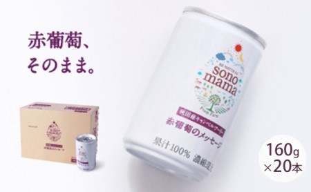 赤葡萄ジュース「sonomama」（160g×20本） ぶどう ブドウ 飲料 