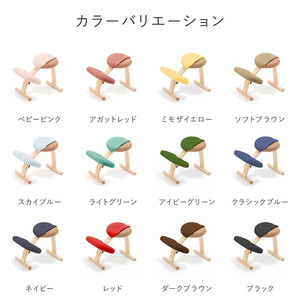 バランスイージー専用はっ水カバー（クラシックブルー）ドットワッフル【 バランスイージー カバー 大阪府 門真市 】