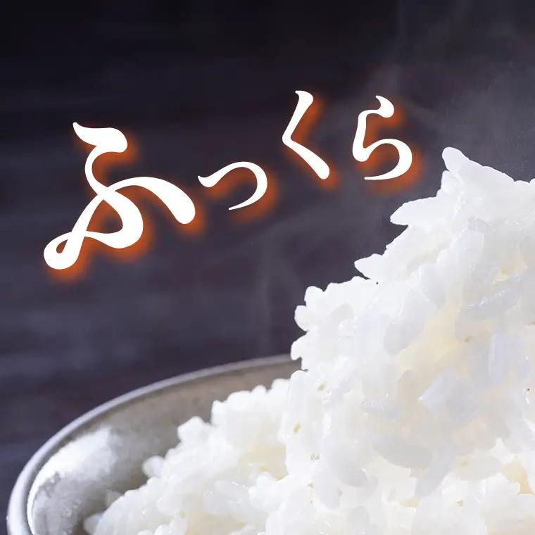《 令和8年産 》 桜川市産 こしひかり 20kg 新米 先行予約 茨城県 桜川市 米 お米 白米 コメ ごはん 精米 コシヒカリ 国産 限定 銘柄米 [SC066sa]