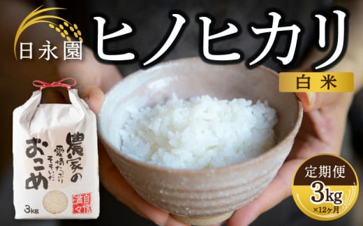【定期便】日永園 ヒノヒカリ 白米3kg×12ヶ月 【2025年11月下旬より発送予定】 米 お米 ご飯  うきは市