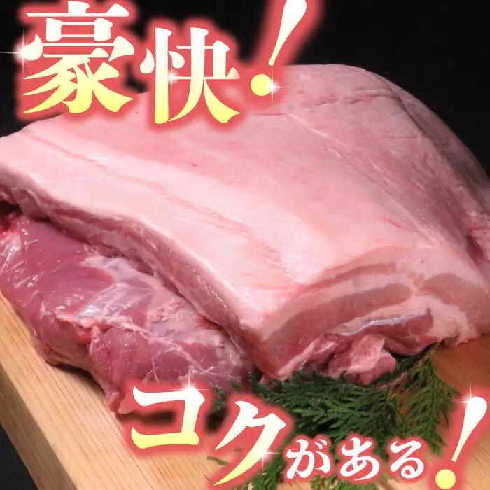 【6回定期便】豚帝 豚バラ ブロック 約1kg【KRAZY MEAT(小田畜産)】[ZCP067]