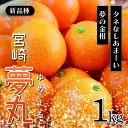 【ふるさと納税】きんかん 宮崎 夢丸 1kg 種なし 先行受付 希少 果物 フルーツ 金柑 ギフト 贈答 送料無料