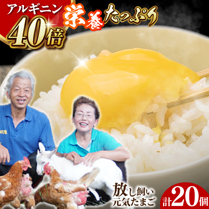 アルギニン 元気たまご 20個 自然栽培 平飼い 【浅田峠自然塾】 [EA01] 卵 20個 たまご 鶏卵 玉子 国産 卵かけご飯 たまごかけご飯 すき焼き 目玉焼き
