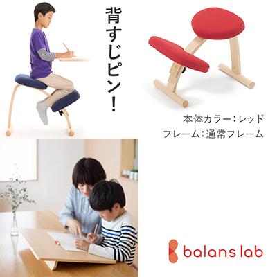 ふるさと納税 美濃市 バランスイージー 通常[レッド]+イージーライティングボードM【複数個口で配送】