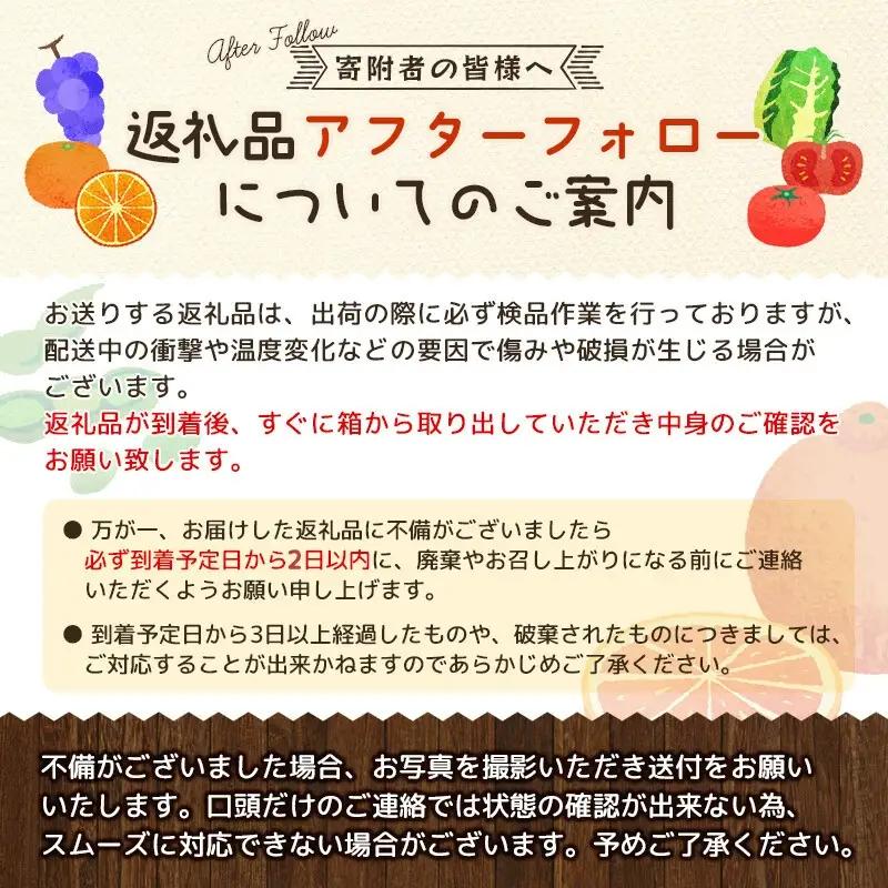  【先行予約】デリシャスファームのトマト(麗月) 3キロ箱 / とまと 野菜 トマト 【delf056】 