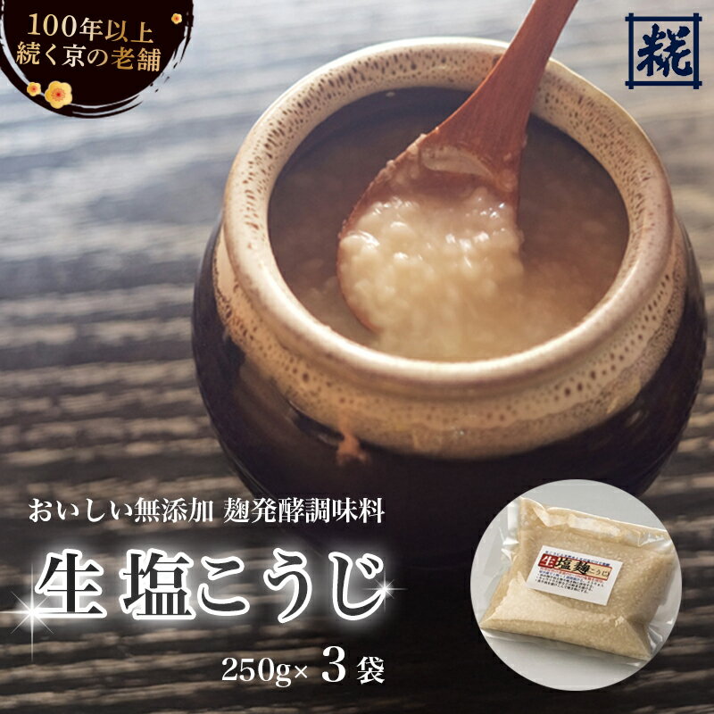 【ふるさと納税】塩麹 250g×3袋（計750g） 塩こうじ 塩糀 無添加 こうじ 糀 麹 万能調味料 発酵食品 国産 京都 舞鶴 老舗 大阪屋こうじ店 冷蔵
