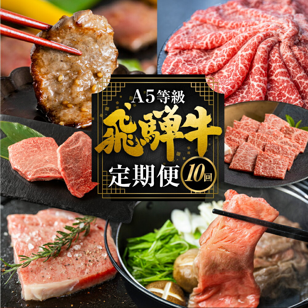 【ふるさと納税】飛騨牛づくし定期便 10回 2人前定期便 飛騨牛 5等級 しゃぶしゃぶ すき焼き ステーキ 焼肉 お楽しみ定期便 10ヵ月 もも うで 食べ比べ 国産牛 国産 牛肉 肉 厳選 熟成 肉の沖村 飛騨市 どやな飛騨市