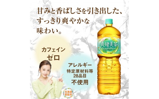 『定期便：全3回』爽健美茶2000mlPET×6本