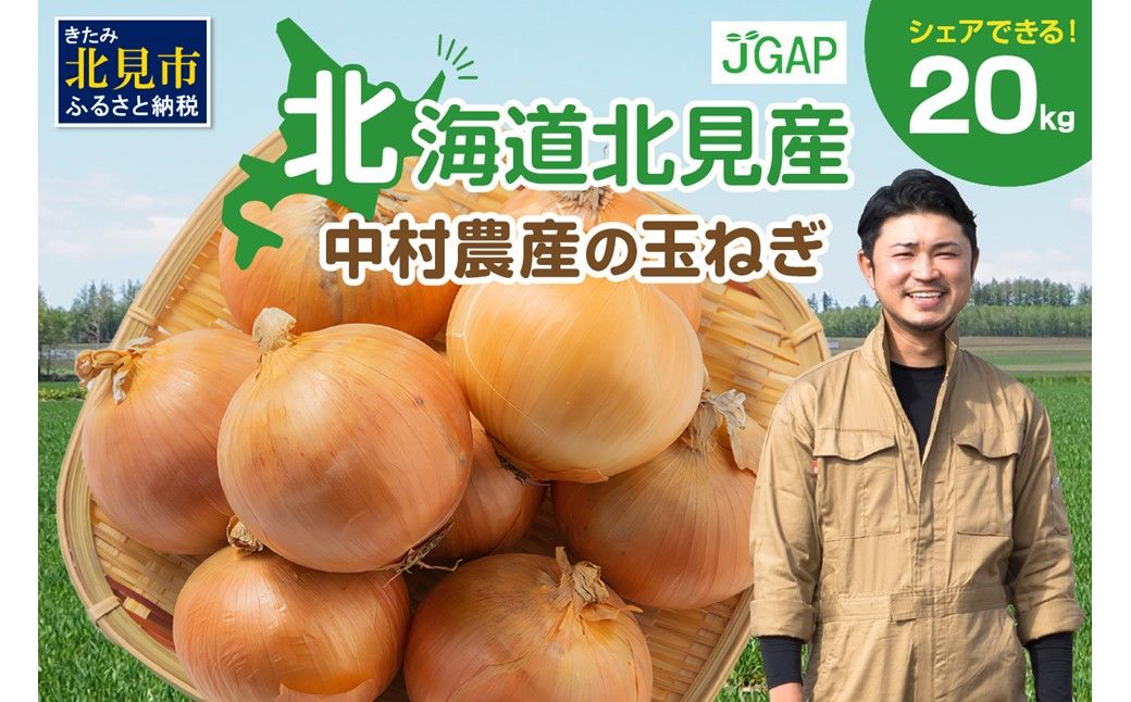 【予約：2025年9月下旬から順次発送】北海道北見産 玉ねぎ 20kg ( 玉ねぎ 野菜 たまねぎ タマネギ 玉葱 甘い 20キロ ハンバーグ 肉じゃが ふるさと納税 玉ねぎ )【002-0005-2025】