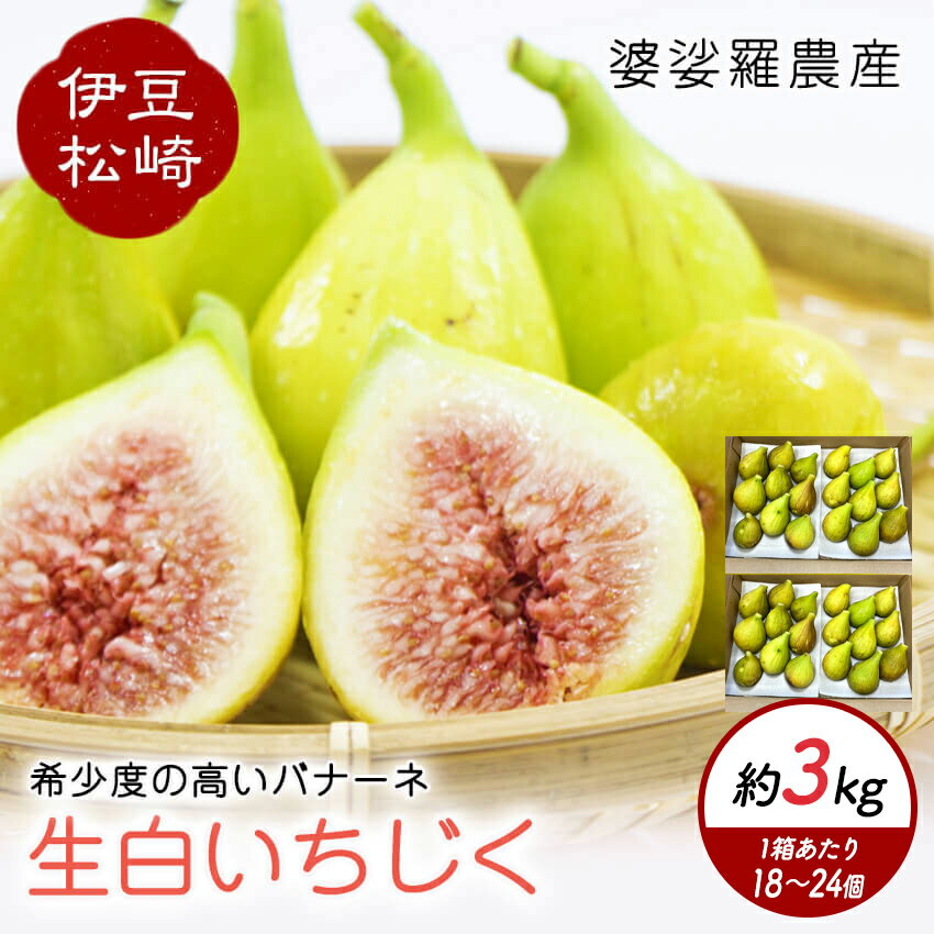 【ふるさと納税】婆娑羅農産 生白いちじく バナーネ 2箱セット 約3kg いちじく イチジク 無花果