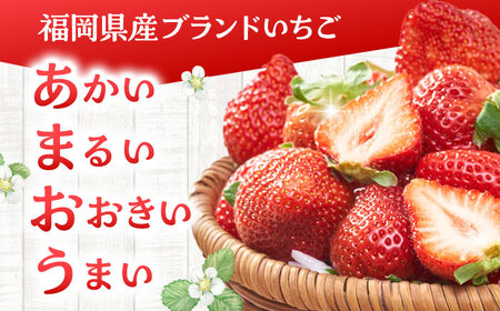 【全12回定期便】福岡産 あまおう ジェラート 1000ml 桂川町/南国フルーツ株式会社[ADBW050]