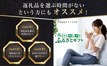 あとからセレクト 寄附 100,000円相当【ふるさとギフト】 ギフト券 クーポン 茨城県 守谷市 あとから 選べる
