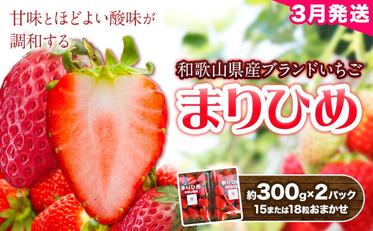 
                  【2027年3月頃発送予定】和歌山県産ブランド いちご「まりひめ」約300g×2パック (15または18粒おまかせ) 日高川町厳選館《3月上旬-3月末頃出荷予定》和歌山県 日高川町 送料無料 苺 鞠姫 マリヒメ フルーツ 果物 お取り寄せ 【配送不可地域あり】
                