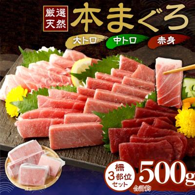 ふるさと納税 室戸市 【厳選天然本まぐろ】大トロ・中トロ・赤身 500g