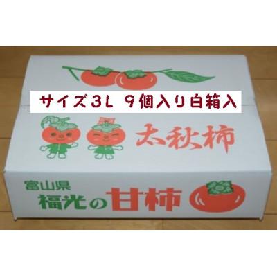 ふるさと納税 南砺市 甘柿『太秋柿』 3L　9個　白箱入り