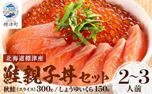 
                  【 令和8年 新物 】【スピード配送】いくら サーモン 親子丼 セット 2～3人前 北海道産  国産 天然 人気 小分け 便利 おすすめ スライス さけ サケ 鮭 鮭いくら 鮭イクラ いくら醤油漬 醤油漬け しょうゆづけ 醤油いくら  しょうゆいくら いくら 魚卵 いくら醤油漬け ikura 冷凍 冷凍いくら 冷凍イクラ 鮭卵 魚介類 魚貝類 海鮮 本場 ごほうび お祝い 家族 北海道 標津町
                