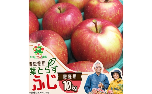 葉とらずふじ家庭用10kg【1789774】