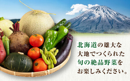 【2026年10月上旬以降順次発送】朝採れ 旬の野菜 10品目 野菜 先行予約 北海道 産地直送 旬 詰合せ [AJAH033]