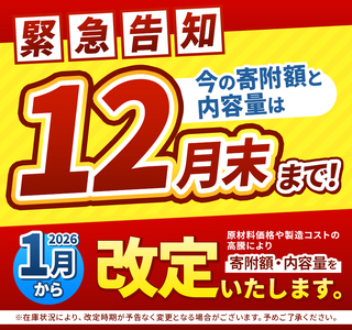 【定期便12回】ココイチ カレーMセット （ポーク10個）  (毎月お届け）｜栃木県・矢板市