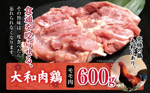 AM1 大和肉鶏 モモ肉 600g | 大和かしわ 鶏 肉 にく もも かしわ 鶏肉 とり 奈良県 大淀町