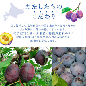 【先行受付】プルーン(品種：ベイラー１ｋｇ)