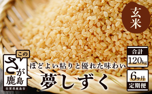 6ヶ月 毎月 お届け 佐賀県産 夢しずく 玄米 20kg 定期便 R-6 6回 定期 お米 令和7年産 令和8年産 新米