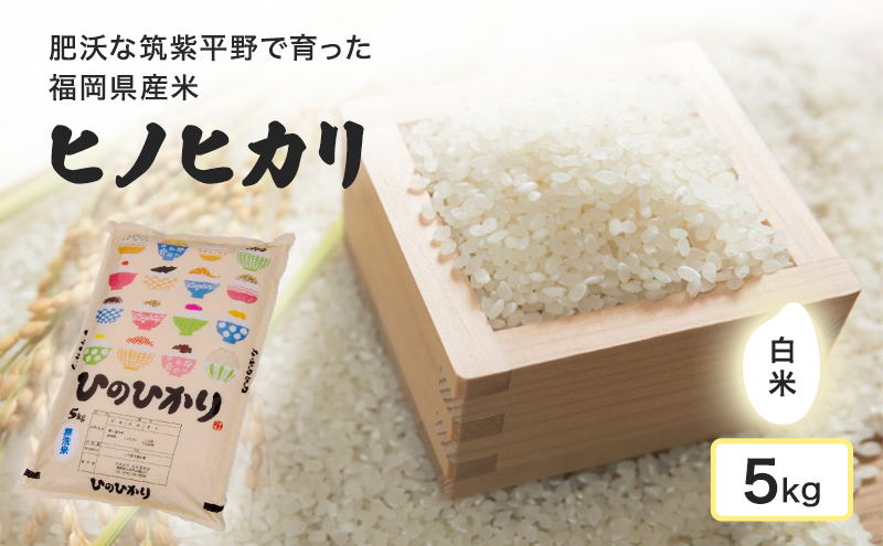 米 肥沃な筑紫平野で育った 福岡県産米 ヒノヒカリ 白米 5kg お米 コメ 令和7年度産