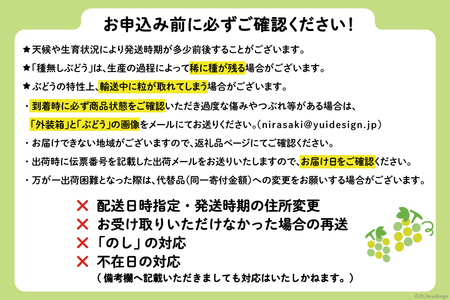 【2026年発送】先行受付 シャインマスカット 山梨 予約 約 2kg 3～ 4房