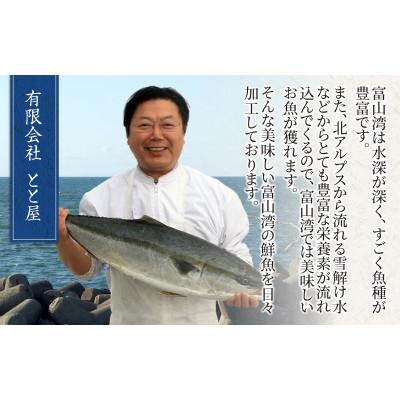 ふるさと納税 滑川市 【訳あり】塩ぶり　切り身　約60g×10パック |  | 01